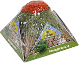 JR Farm knaagpiramide 400 gr