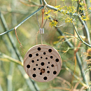 CJ Wildlife Insectenblok Gorgona