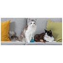 TRIXIE Kattenspeelgoed Piramide Citystyle Vilt Catnip