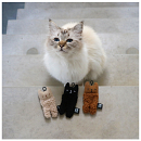 D&D I Love Happy Cats Kattenspeelgoed Alfie Assorti