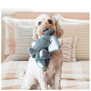 Kong Comfort Kiddos Jumbo Elephant XL