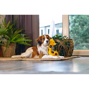 Beeztees Hondenspeelgoed Jungle Gigi