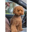 Frenky Lewis Car & Pillow Spray