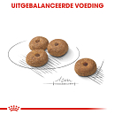 Royal Canin Hondenvoer Sterilised Mini 1 kg