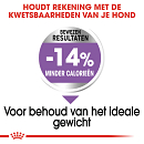 Royal Canin Hondenvoer Sterilised Mini 1 kg