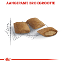 Royal Canin Kattenvoer Ageing 12+ 400 gr