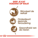 Royal Canin Kattenvoer Ageing 12+ 400 gr