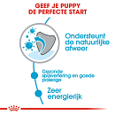 Royal Canin Hondenvoer X-Small Puppy 500 gr