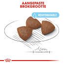 Royal Canin Hondenvoer Medium Starter 4 kg