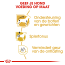 Royal Canin Hondenvoer Dachshund Adult 7,5 kg