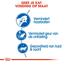 Royal Canin Kattenvoer Indoor Long Hair 10 kg