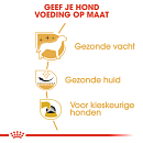 Royal Canin Hondenvoer WHW Terrier Adult 3 kg