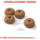 Royal Canin Hondenvoer Sterilised Medium 12 kg