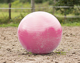 QHP Paardenvoetbal Roze 80 - 100 cm