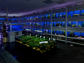 Impressie Aquariumhal