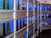 Impressie Aquariumhal