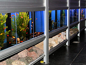 Impressie Aquariumhal