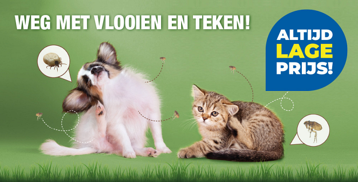 Weg met vlooien en teken!