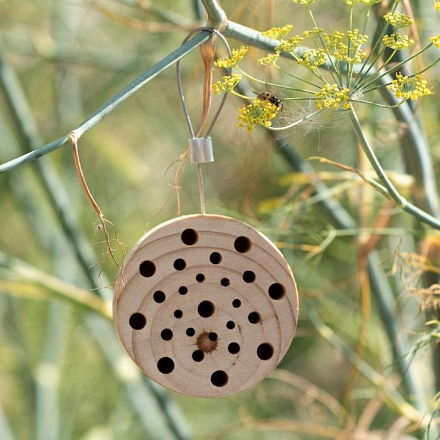 CJ Wildlife Insectenblok Gorgona