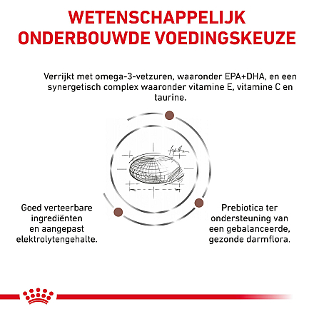 Royal Canin Gastrointestinal Low Fat 6 kg