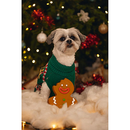 Beeztees Hondenspeelgoed Kerst Gingerbread Man