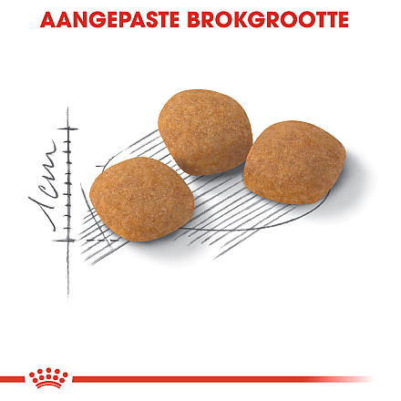 Royal Canin Kattenvoer Protein Exigent 400 gr