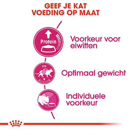 Royal Canin Kattenvoer Protein Exigent 400 gr