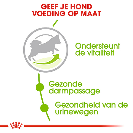 Royal Canin Hondenvoer<br> X-Small Adult 8+ 3 kg