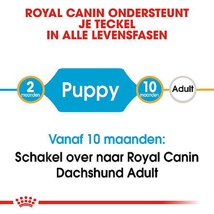 Royal Canin hondenvoer Dachshund Puppy 1,5 kg