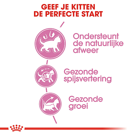 Royal Canin kattenvoer Kitten 10 kg