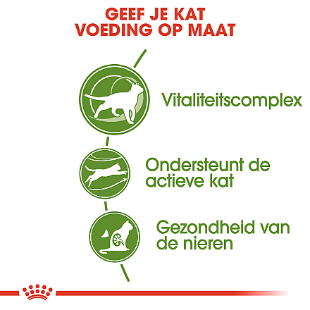 Royal Canin Kattenvoer Outdoor 7+ 4 kg