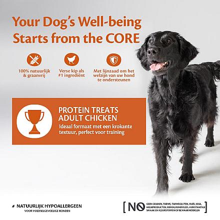 Wellness CORE Protein Bites kip 170 gram