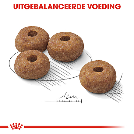 Royal Canin Hondenvoer Sterilised Medium 12 kg