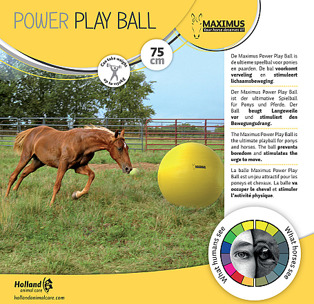 Maximus Power Play Ball 