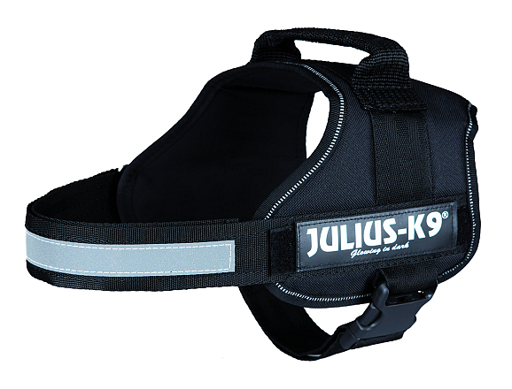 Julius K9 Powerharness black