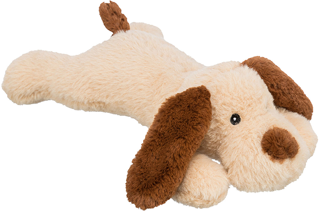 TRIXIE hond Benny