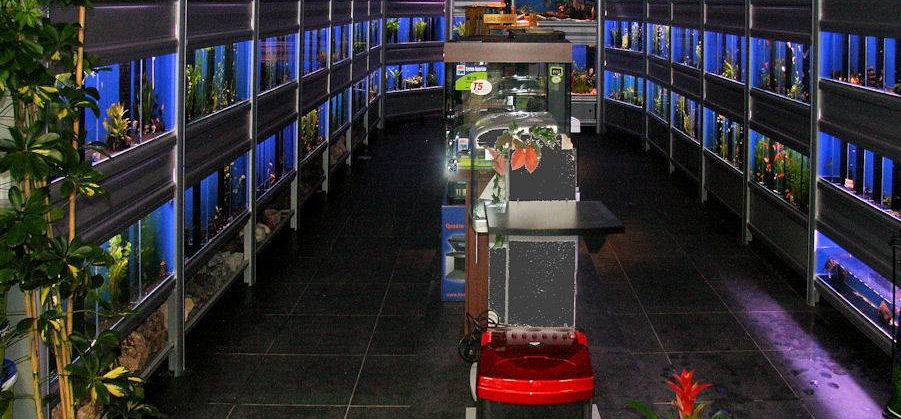 Impressie Aquariumhal