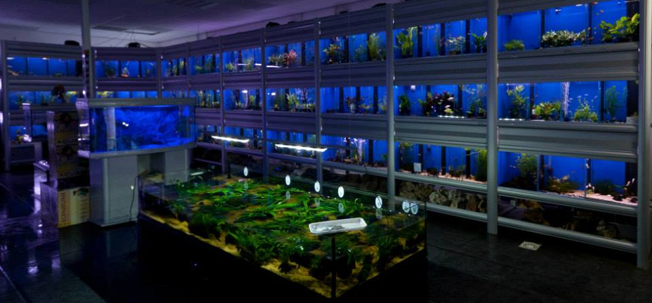 Impressie Aquariumhal