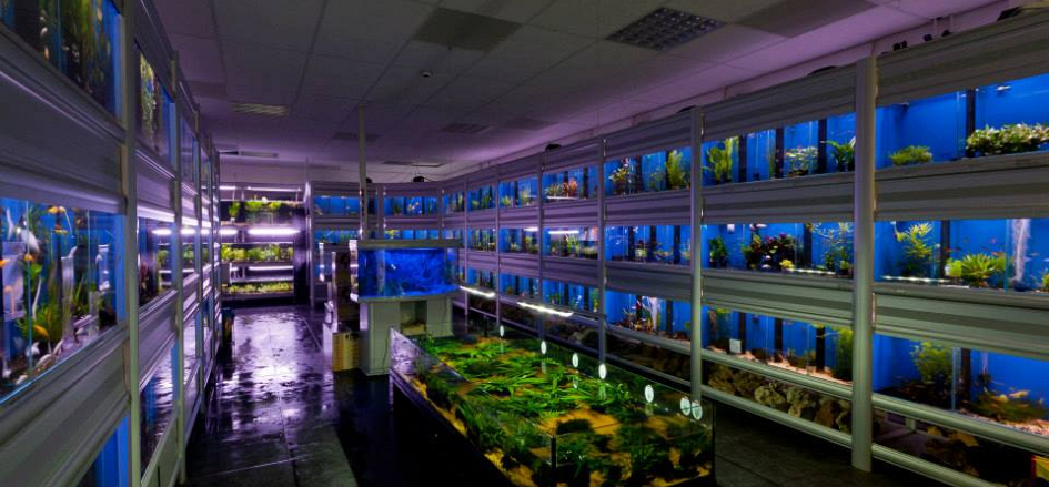 Impressie Aquariumhal
