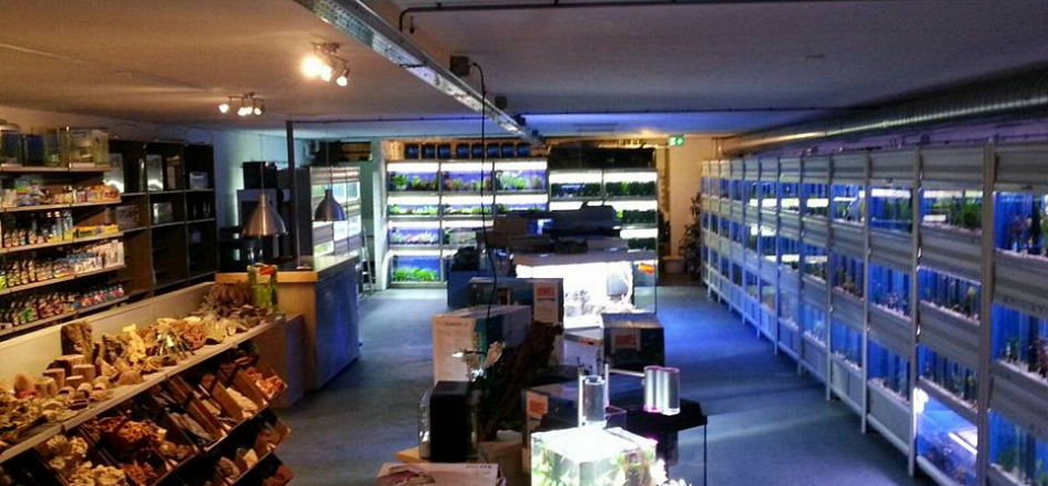 Impressie Aquariumhal