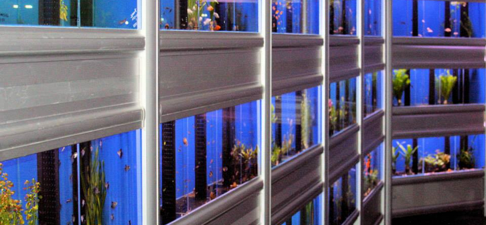 Impressie Aquariumhal